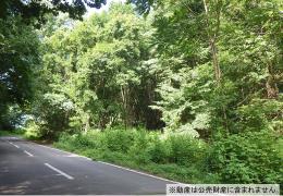 物件_2588-15の写真1