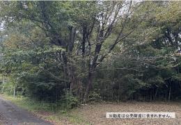 物件_3971-1の写真1