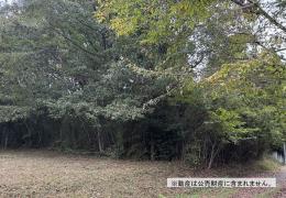 物件_3971-2の写真2