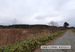 物件_2968-8の写真2