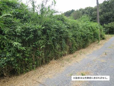 物件_3915-1の写真2