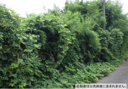 物件_3943-1の写真1