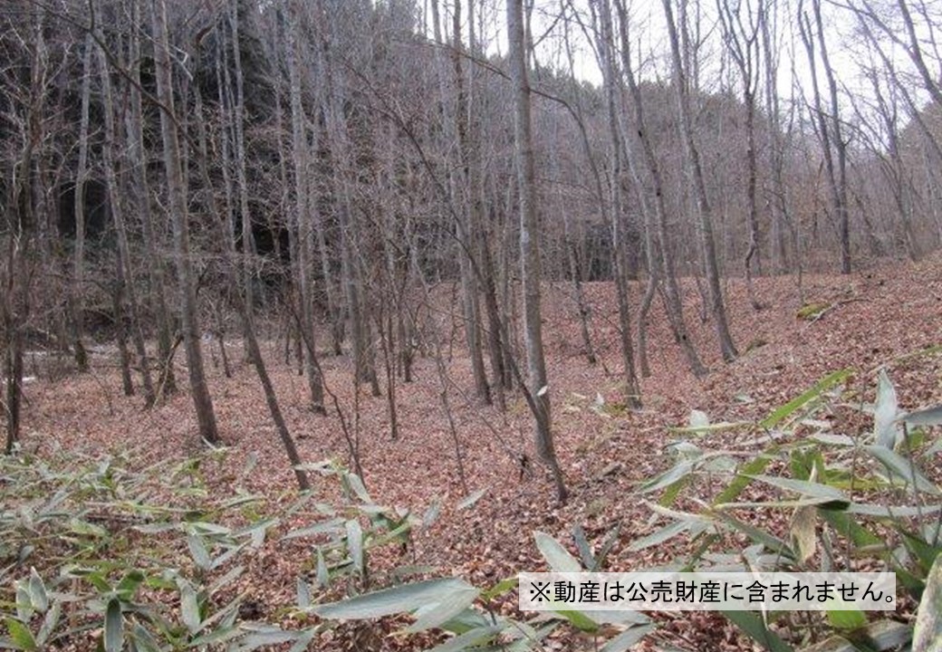 物件_4029-1の写真
