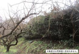 物件_3749-2の写真2