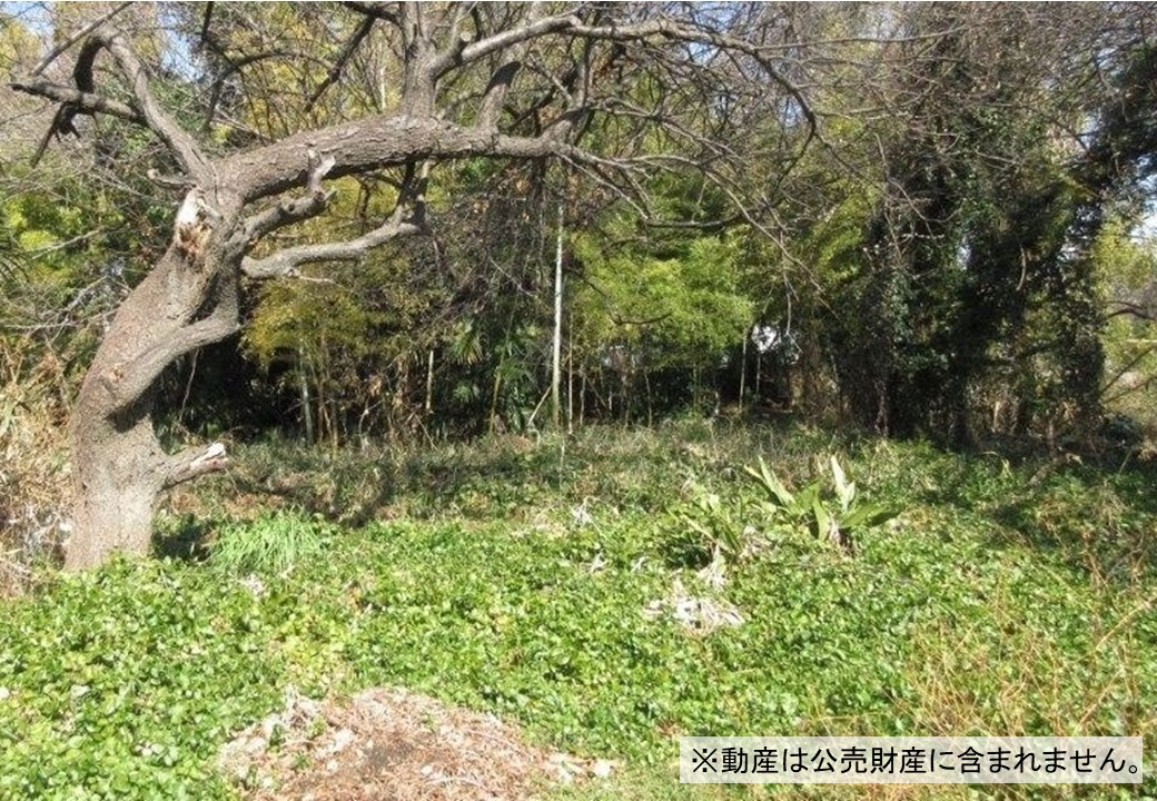 物件_4073-1の写真