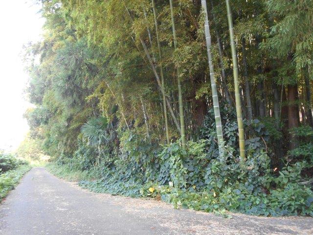 物件_1605-3の写真