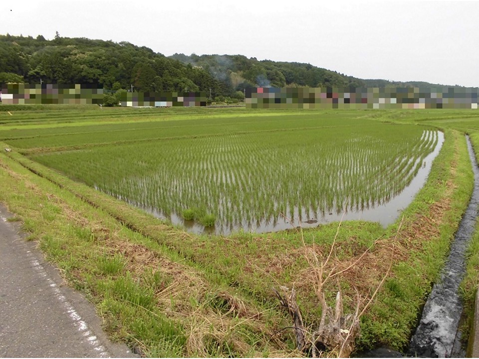 物件_1559-1の写真