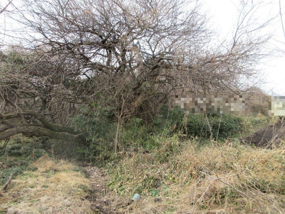 物件_722-6の写真