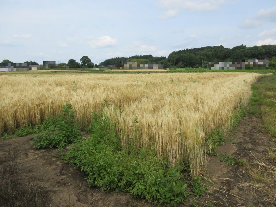 物件_1302-10の写真