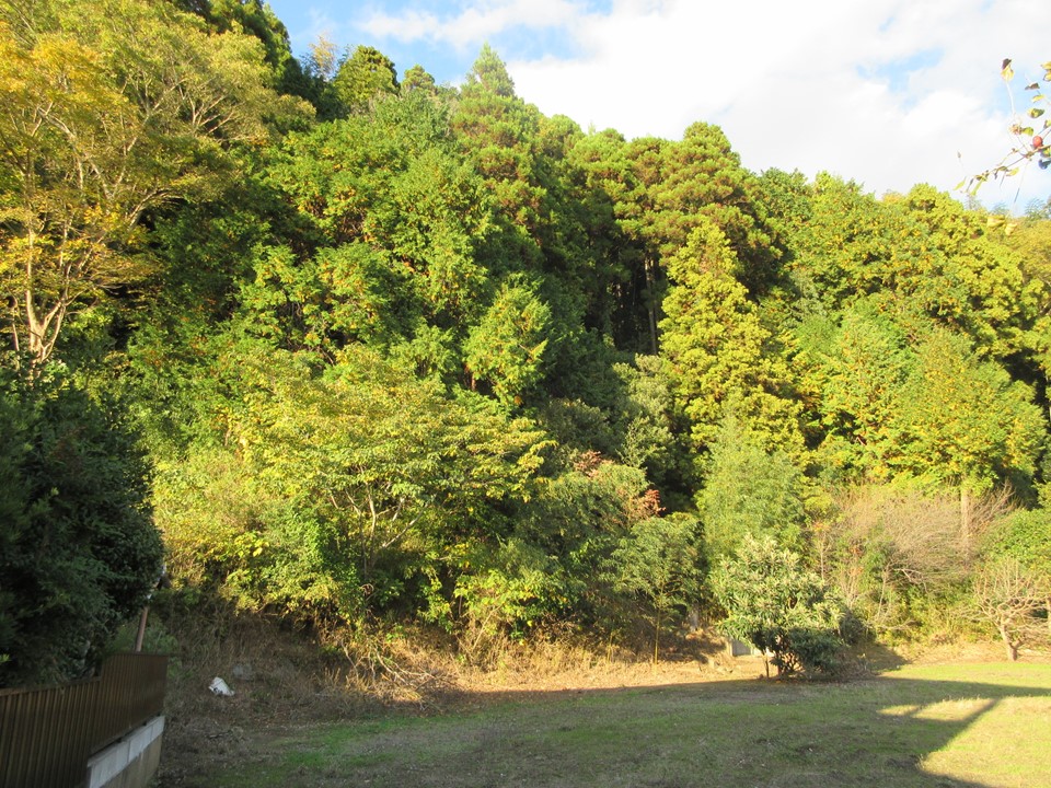 物件_1842-2の写真