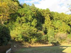 物件_1842-2の写真1