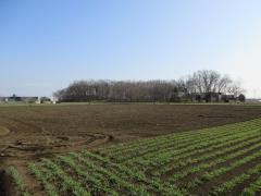 物件_1865-5の写真1