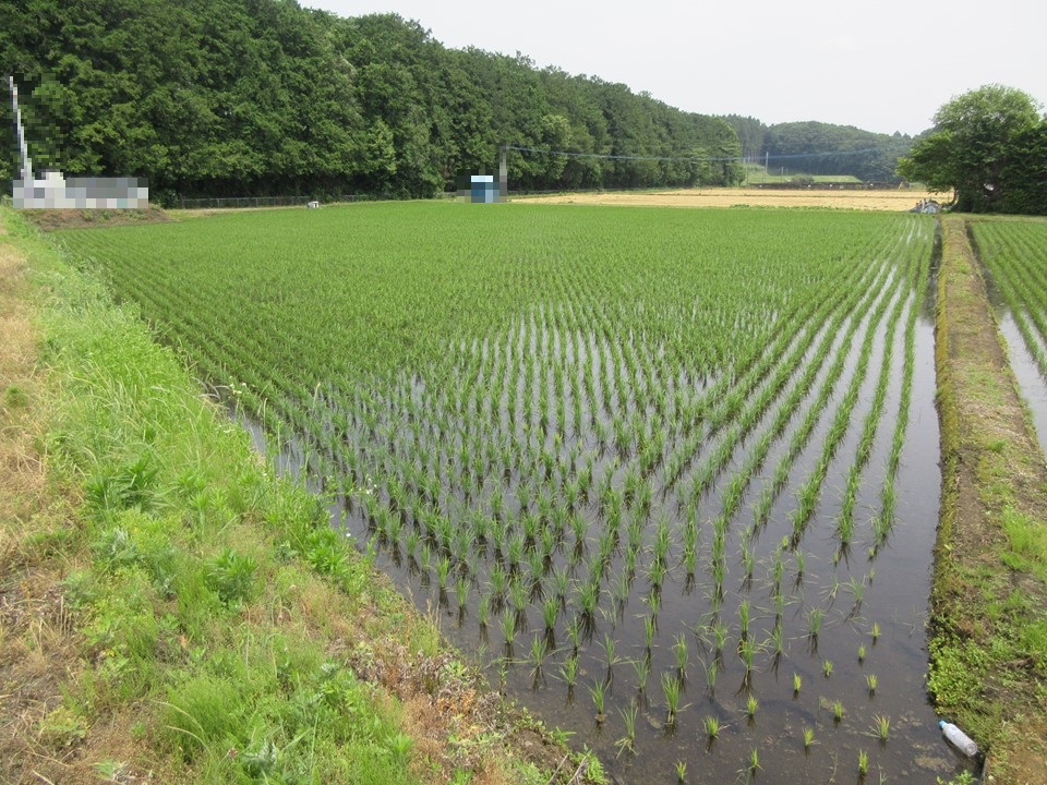 物件_1910-1の写真