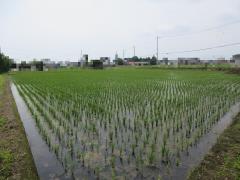 物件_1910-1の写真2