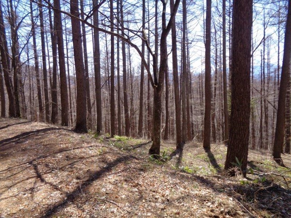 物件_1774-1の写真