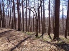 物件_1774-1の写真1