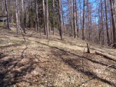 物件_1774-1の写真2