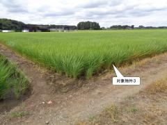 物件_1917-1の写真2