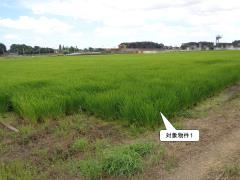 物件_1917-3の写真3