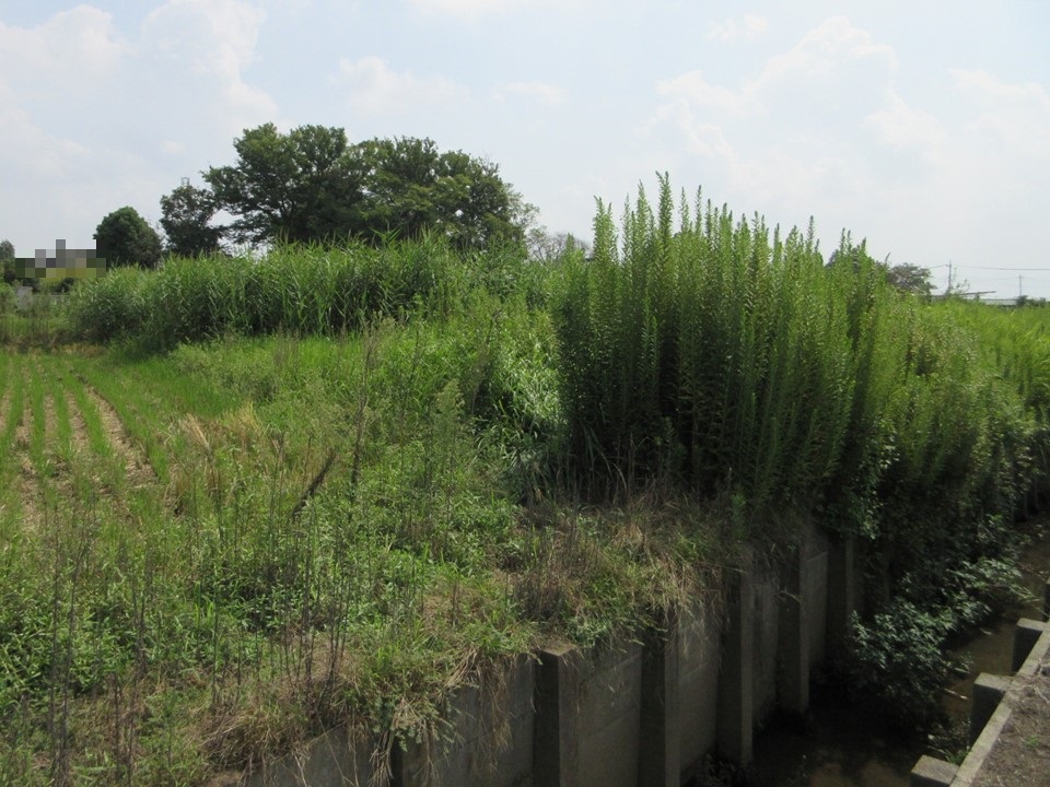 物件_1933-1の写真