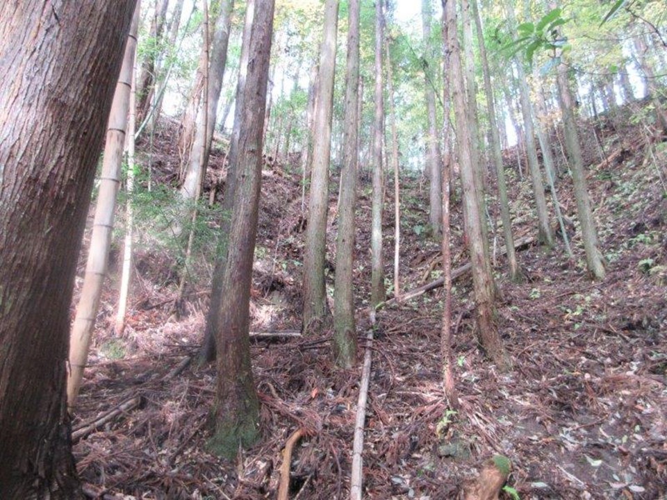 物件_1855-4の写真