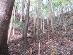 物件_1855-4の写真1