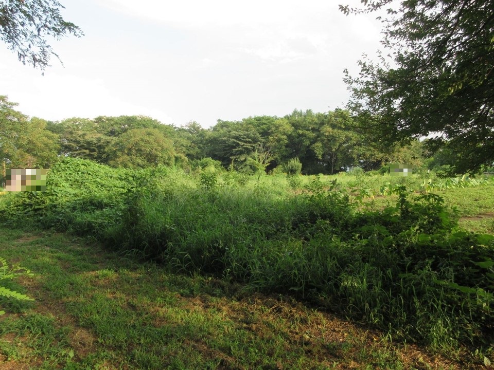物件_1929-1の写真