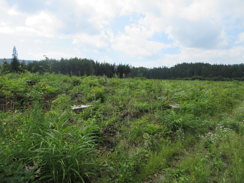 物件_1930-2の写真