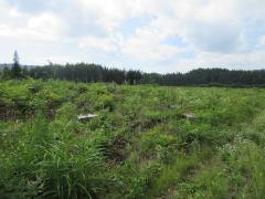 物件_1930-2の写真1