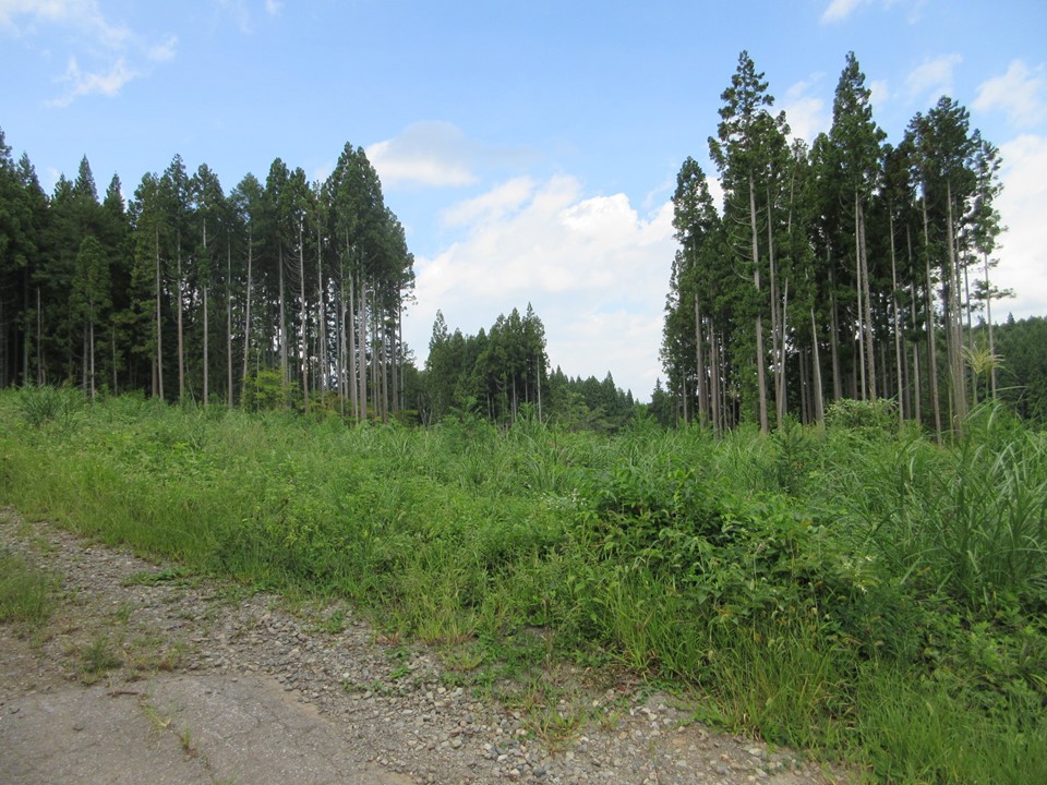 物件_1930-3の写真