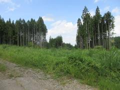 物件_1930-3の写真1