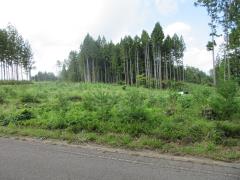 物件_1930-3の写真2