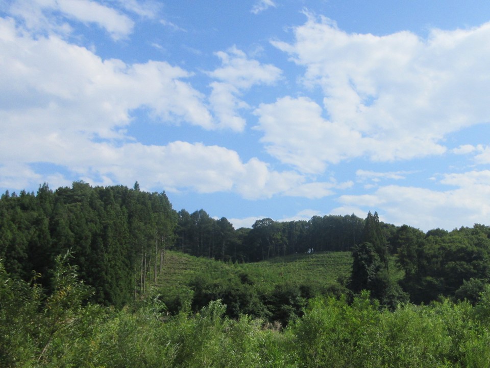 物件_1930-4の写真