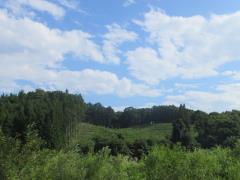 物件_1930-4の写真1