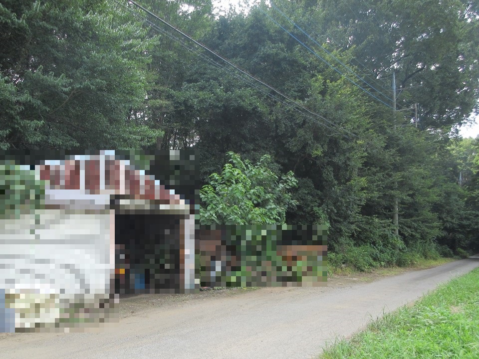 物件_1917-4の写真