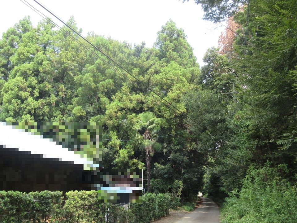 物件_1917-5の写真