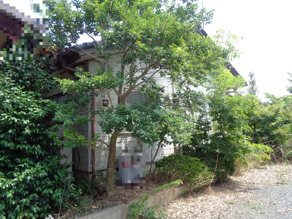 物件_1943-1の写真