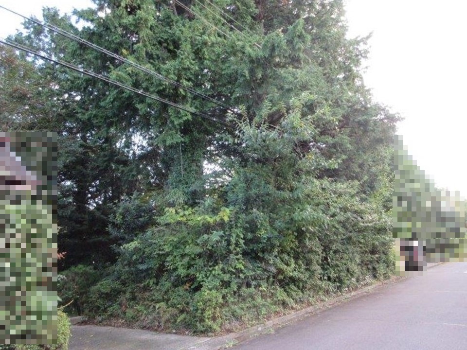 物件_1969-1の写真