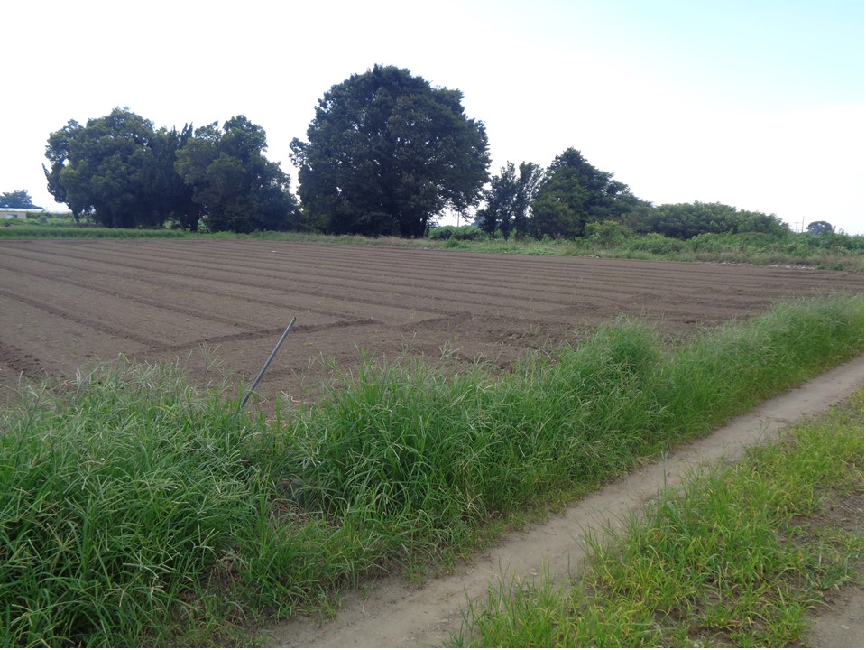 物件_1798-4の写真