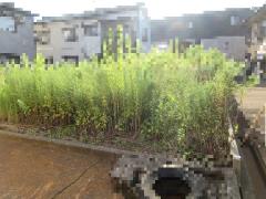 物件_1966-1の写真2