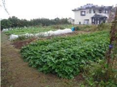 物件_1827-2の写真2