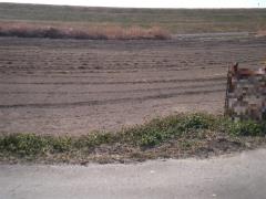 物件_1897-1の写真2