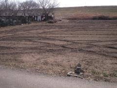 物件_1897-1の写真3