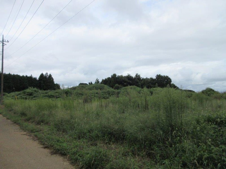 物件_1955-1の写真