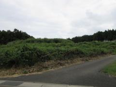 物件_1955-1の写真2