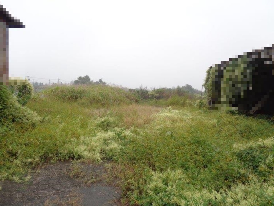 物件_1956-1の写真