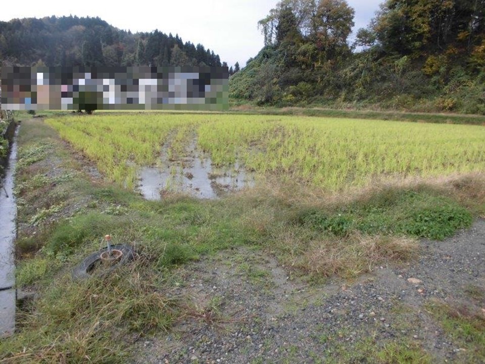 物件_1720-2の写真