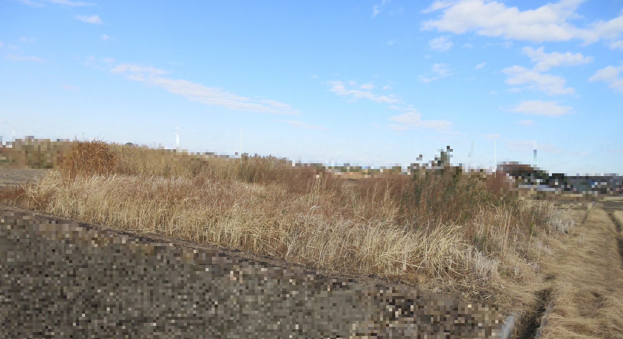 物件_1773-1の写真