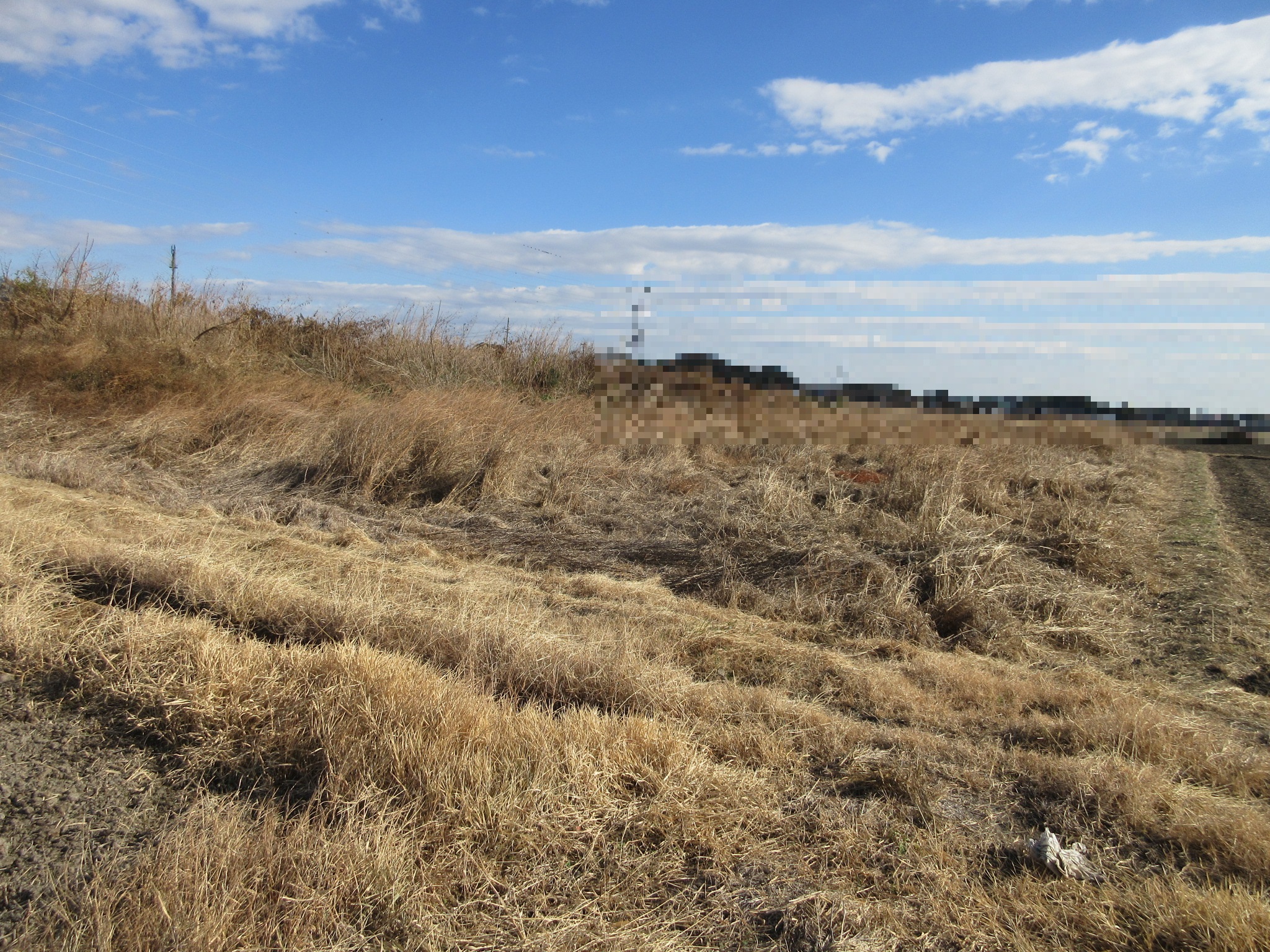 物件_1773-2の写真