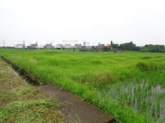 物件_981-1の写真1